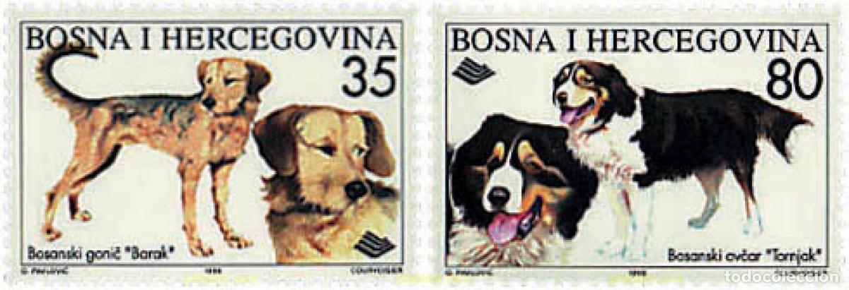 Sellos: 297980 MNH BOSNIA-HERZEGOVINA 1996 FLORES Y PERROS