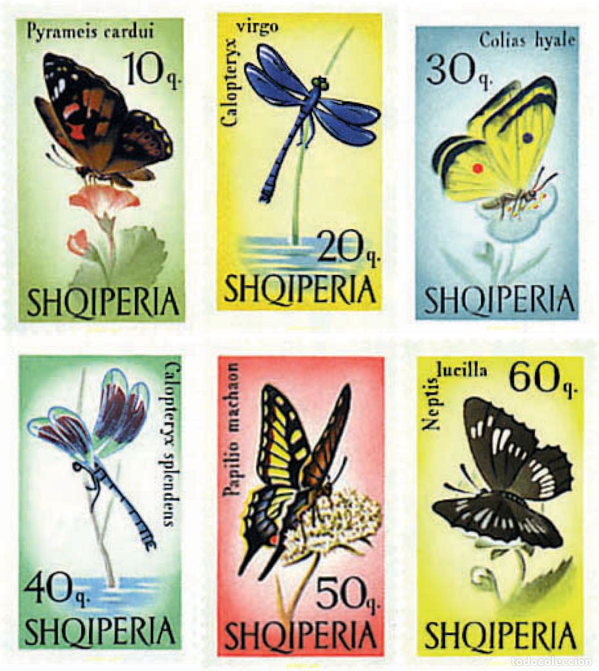 Sellos: 680969 MNH ALBANIA 1966 MARIPOSAS Y LIBELULAS