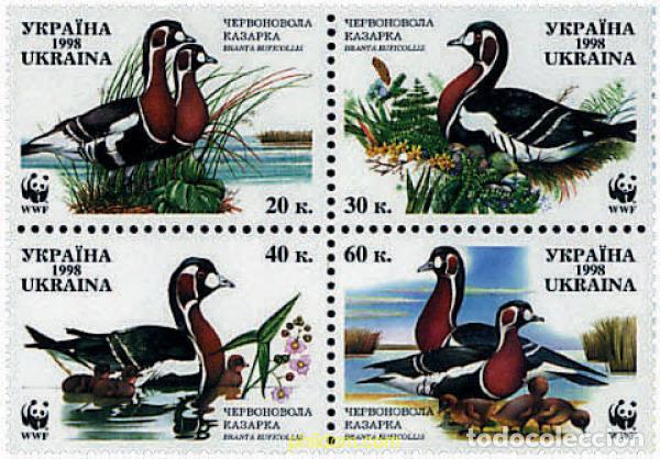 Sellos: 5329 MNH UCRANIA 1998 BARNACLA CUELLIROJA