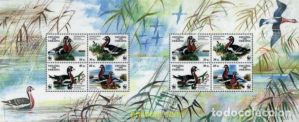 Sellos: 12741 MNH UCRANIA 1998 BARNACLA CUELLIROJA