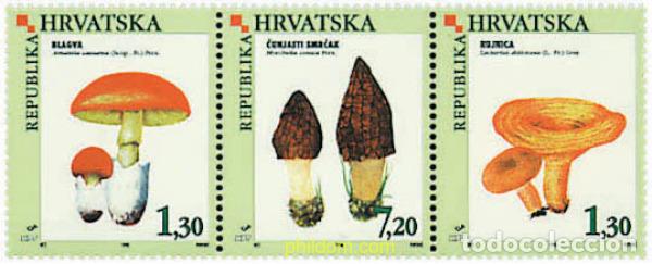 Sellos: 5589 MNH CROACIA 1998 SETAS LOCALES COMESTIBLES