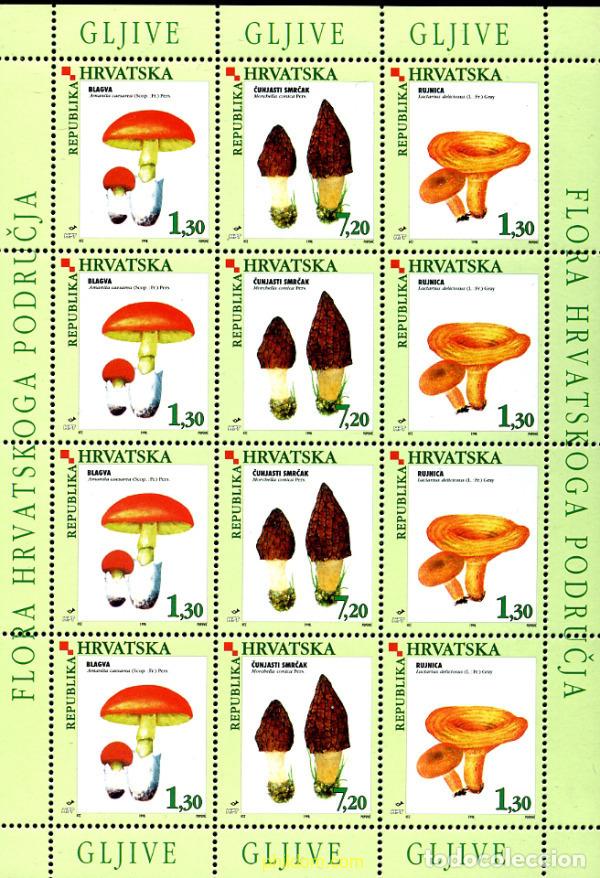 Sellos: 171749 MNH CROACIA 1998 SETAS LOCALES COMESTIBLES