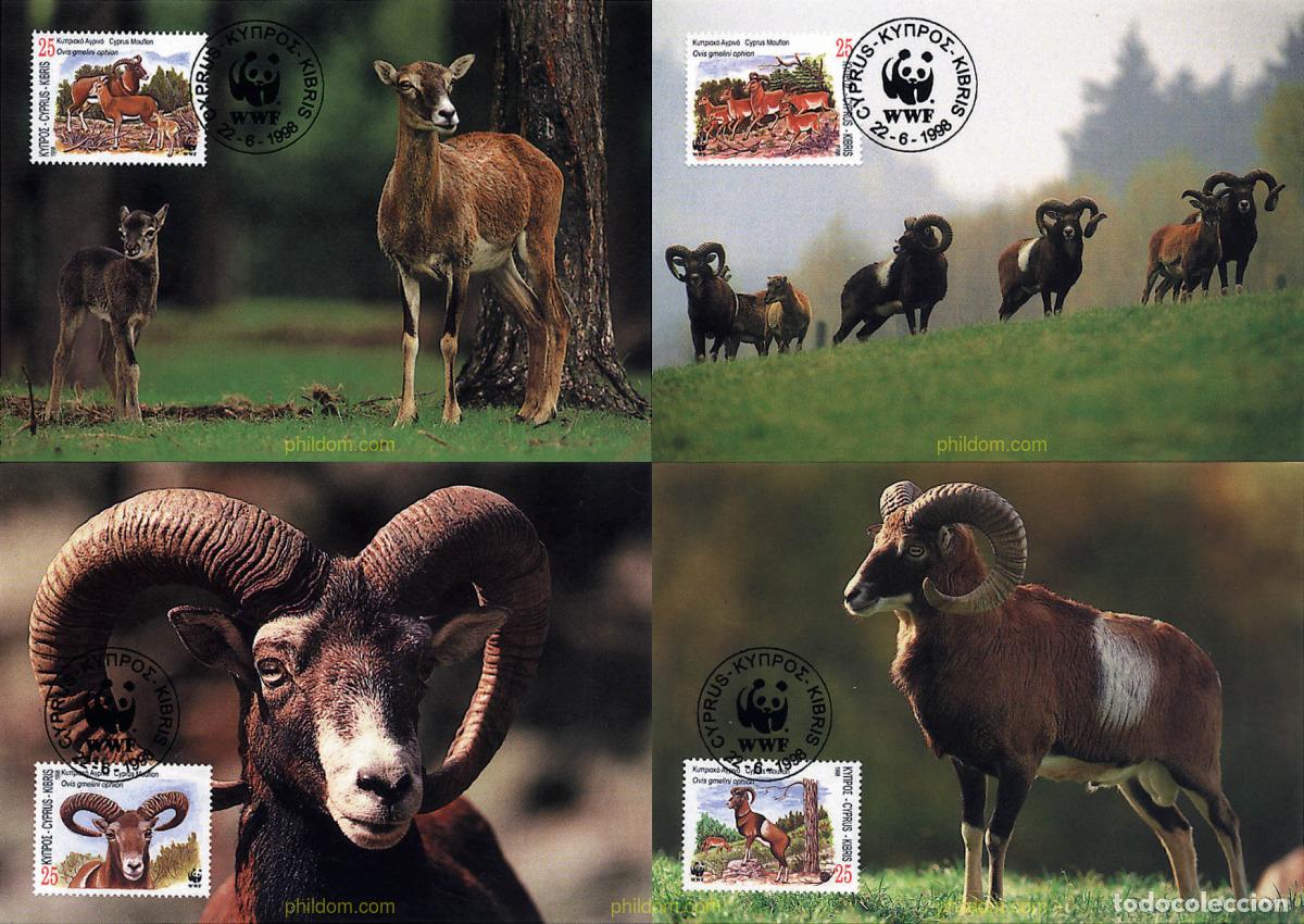 Sellos: 7513 MNH CHIPRE 1998 MUFLON DE CHIPRE