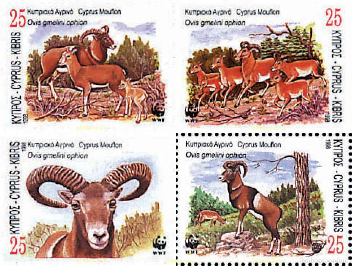 Sellos: 74194 MNH CHIPRE 1998 MUFLON DE CHIPRE