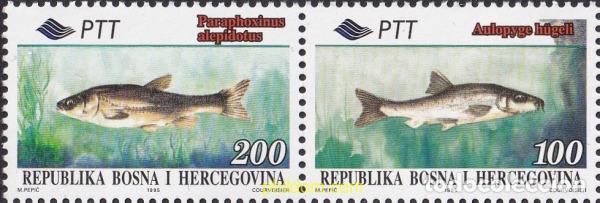 Sellos: 790720 MNH BOSNIA-HERZEGOVINA 1995 FAUNA Y FLORA
