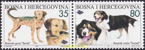 Sellos: 790745 MNH BOSNIA-HERZEGOVINA 1996 FLORES Y PERROS