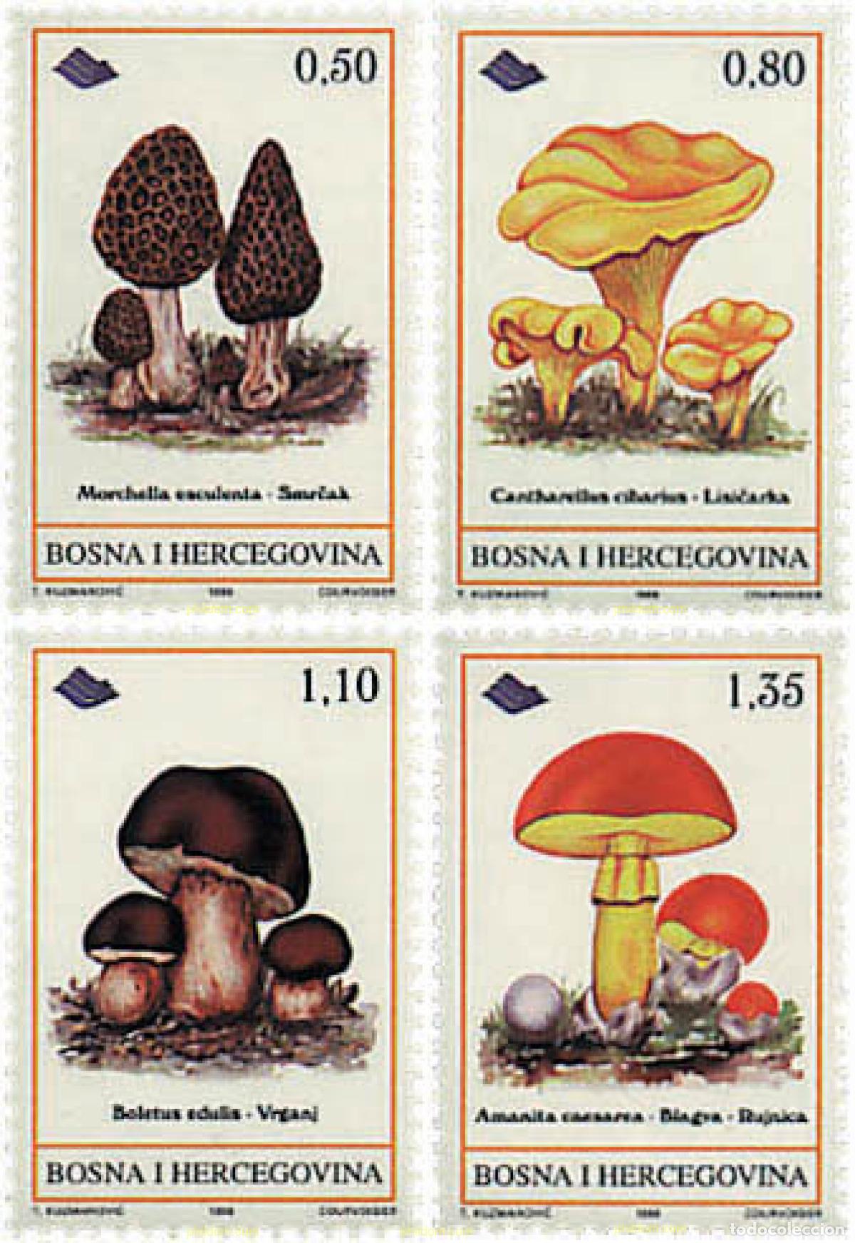 Sellos: 34926 MNH BOSNIA-HERZEGOVINA 1998 SETAS