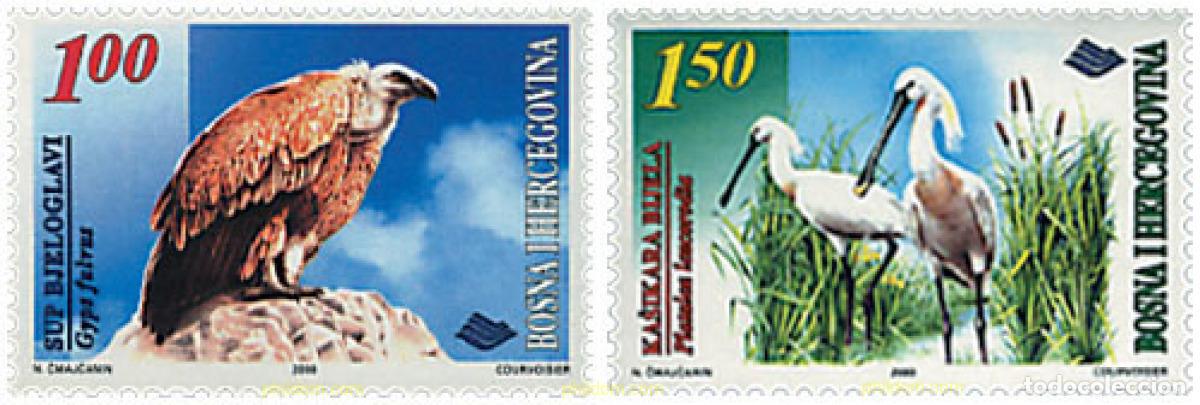 Sellos: 50579 MNH BOSNIA-HERZEGOVINA 2000 AVES