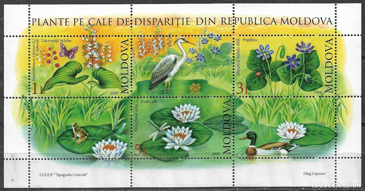 Sellos: MOLDAVIA 208 Plantas medicinales n&ordm; HB41 * *