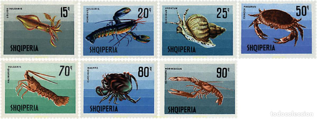 Sellos: 78210 MNH ALBANIA 1968 MOLUSCOS Y CRUSTACEOS