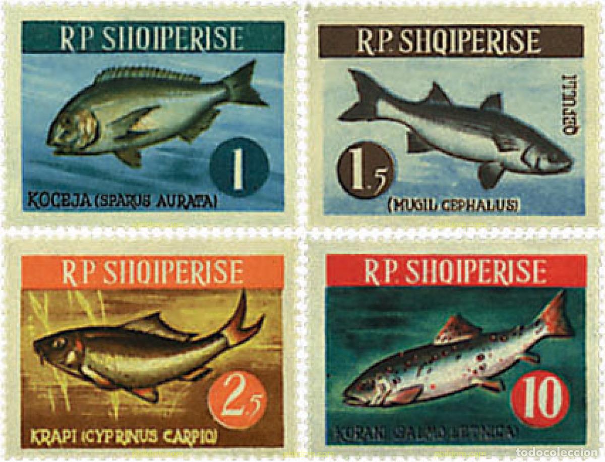 Sellos: 680813 MNH ALBANIA 1964 PECES