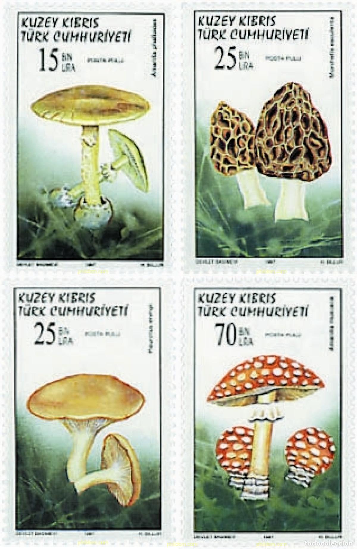 Selos: 51426 MNH CHIPRE. Administraci&oacute;n turca 1997 SETAS