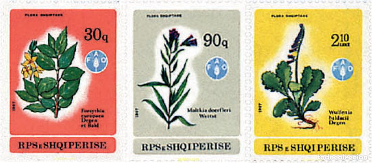 Sellos: 80564 MNH ALBANIA 1987 FLORA ALBANESA