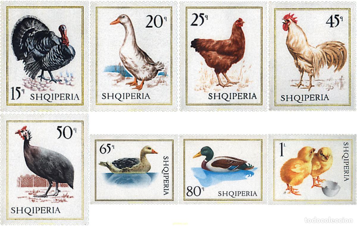 Timbres: 78177 MNH ALBANIA 1967 AVES DE CORRAL