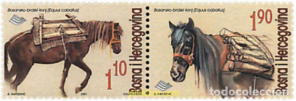 Briefmarken: 791056 MNH BOSNIA-HERZEGOVINA 2001 FAUNA. CABALLOS Y AVES