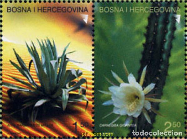 Selos: 145393 MNH BOSNIA-HERZEGOVINA 2004 CACTUS