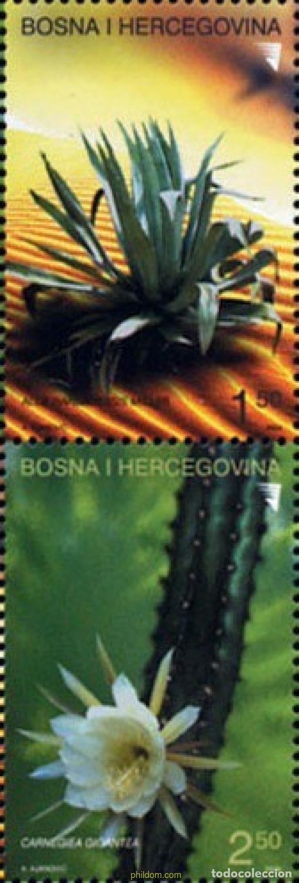 Francobolli: 791086 MNH BOSNIA-HERZEGOVINA 2004 CACTUS