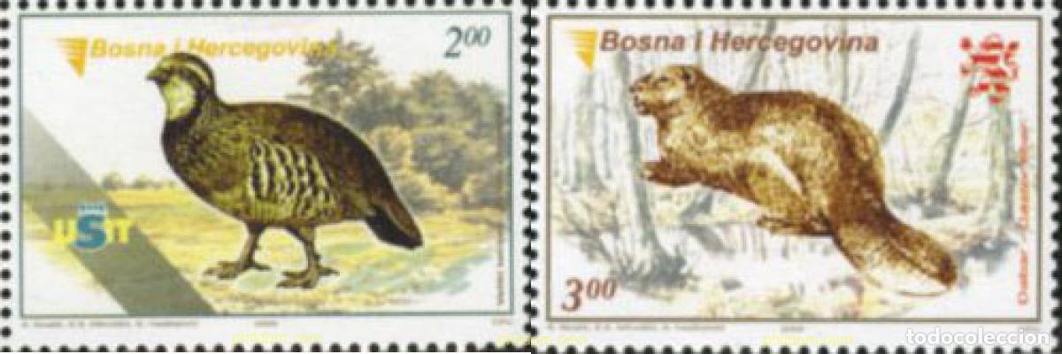 Sellos: 188277 MNH BOSNIA-HERZEGOVINA 2005 AVE Y CASTOR