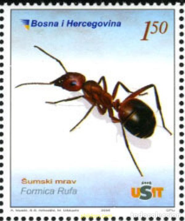 Sellos: 204391 MNH BOSNIA-HERZEGOVINA 2006 FLORA Y FAUNA