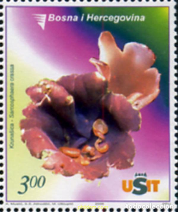 Stamps: 297985 MNH BOSNIA-HERZEGOVINA 2006 FLORA Y FAUNA