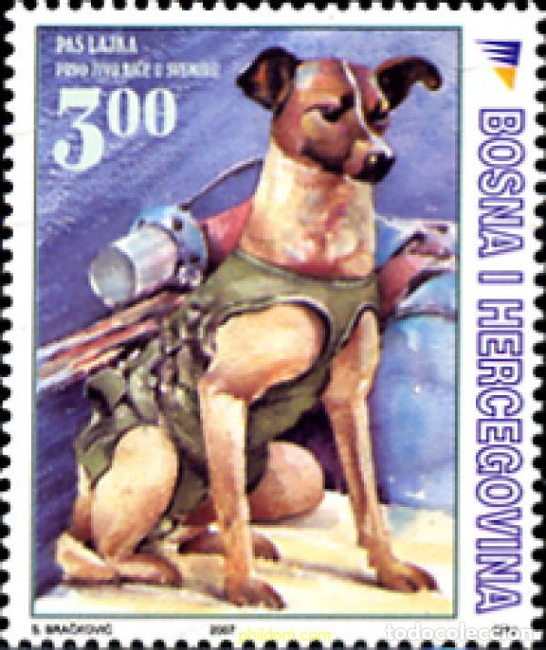 Briefmarken: 226028 MNH BOSNIA-HERZEGOVINA 2007 LAIKA PERRO ASTRONAUTA