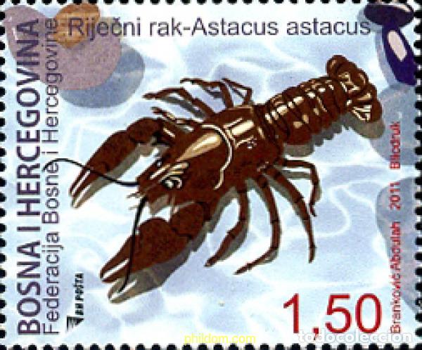 Selos: 270325 MNH BOSNIA-HERZEGOVINA 2011 LANGOSTA