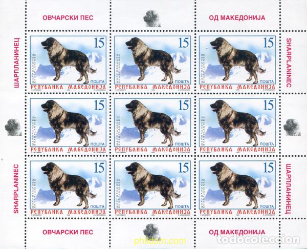Sellos: 9863 MNH MACEDONIA 1999 PERROS