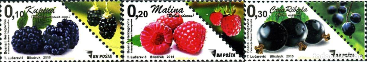 Stamps: 348266 MNH BOSNIA-HERZEGOVINA 2015 FRUTOS SILVESTRES