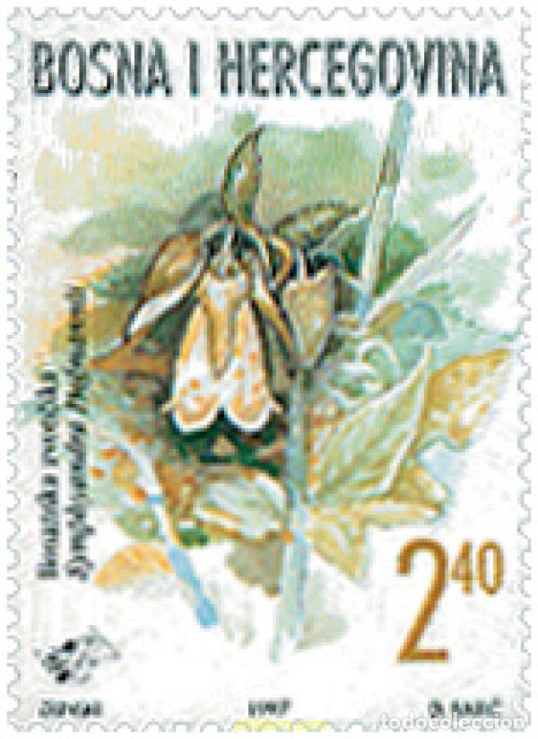 Sellos: 99749 MNH BOSNIA-HERZEGOVINA. Adm Croata 1997 LA FLORA DE BOSNIA Y HERZEGOVINA 1997 - BLUEBELL BOSN