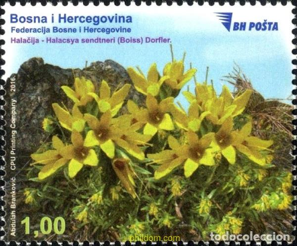 Francobolli: 735939 MNH BOSNIA-HERZEGOVINA 2016 FLORES