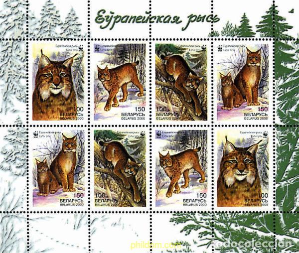 Sellos: 12702 MNH BIELORRUSIA 2000 PROTECCION DE LA NATURALEZA. LINCE