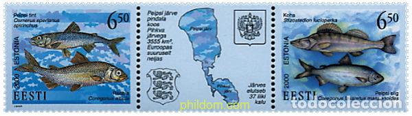 Stamps: 311941 MNH ESTONIA 2000 PECES DEL LAGO DE PEIPSI