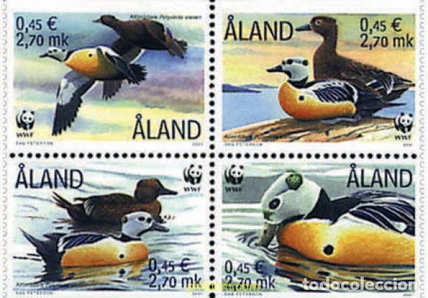 Sellos: 5354 MNH ALAND 2001 EIDER CHICO