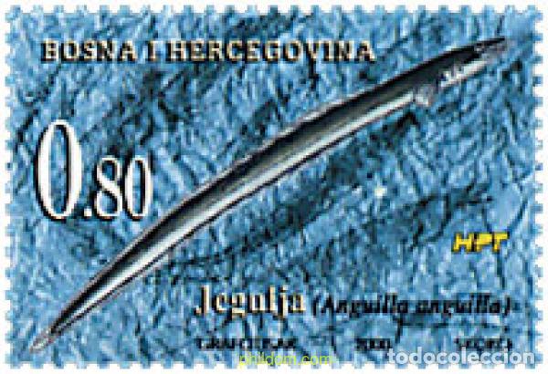 Sellos: 64026 MNH BOSNIA-HERZEGOVINA. Adm Croata 2000 FAUNA