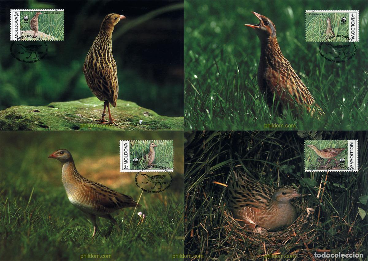 Sellos: 7506 MNH MOLDAVIA 2001 GUION DE CODORNICES