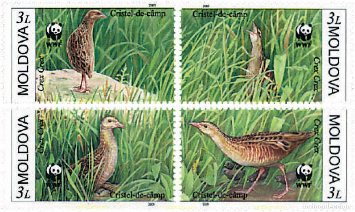 Sellos: 74425 MNH MOLDAVIA 2001 GUION DE CODORNICES