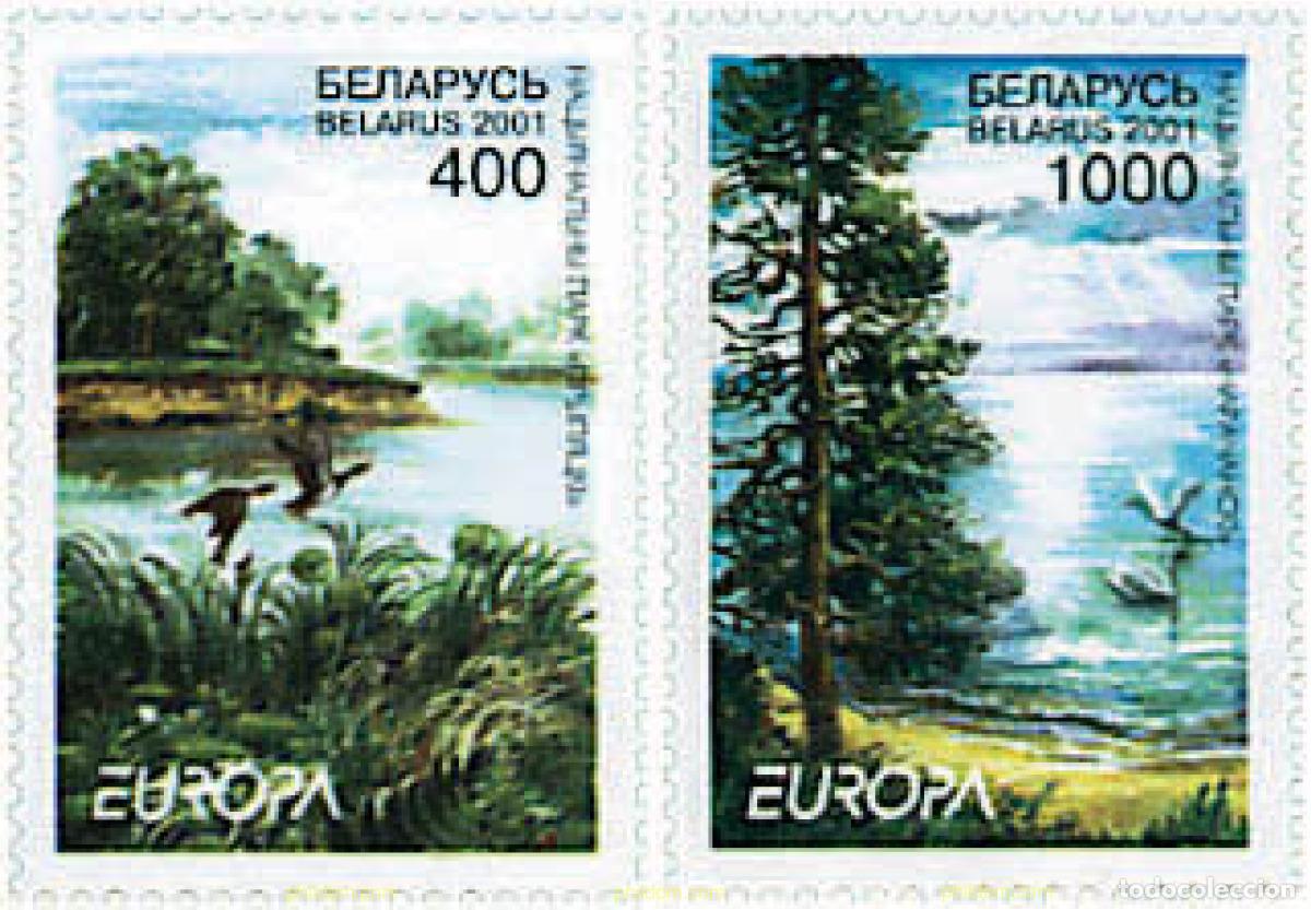 Sellos: 81621 MNH BIELORRUSIA 2001 EUROPA CEPT. CONSTRUCCION EUROPEA