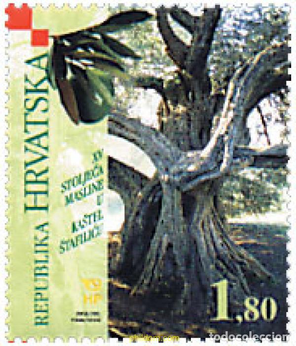 Sellos: 81151 MNH CROACIA 2001 OLIVO DE 1500 A&Ntilde;OS