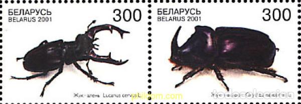 Sellos: 4849 MNH BIELORRUSIA 2001 ESCARABAJOS