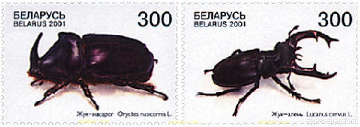 Sellos: 87565 MNH BIELORRUSIA 2001 ESCARABAJOS