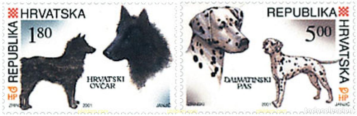 Sellos: 81159 MNH CROACIA 2001 PERROS