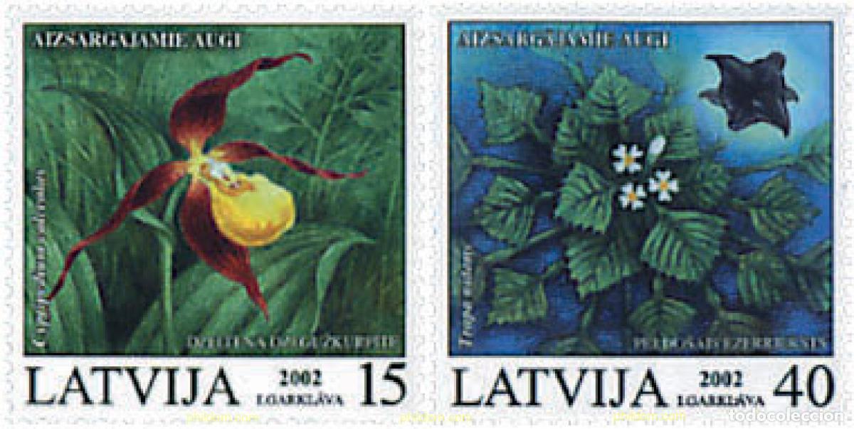 Sellos: 95519 MNH LETONIA 2002 FLORA