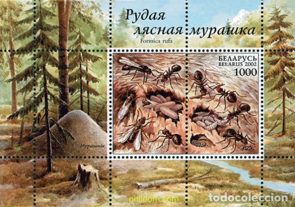 Francobolli: 101002 MNH BIELORRUSIA 2002 HORMIGAS