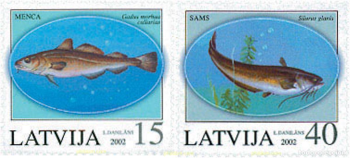 Sellos: 101704 MNH LETONIA 2002 PECES