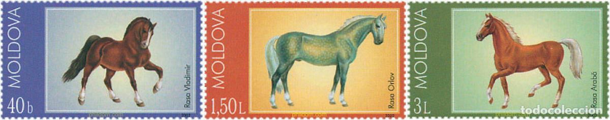 Sellos: 102050 MNH MOLDAVIA 2002 CABALLOS DE RAZA