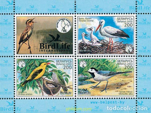 Timbres: 113603 MNH BIELORRUSIA 2002 BIRDLIFE