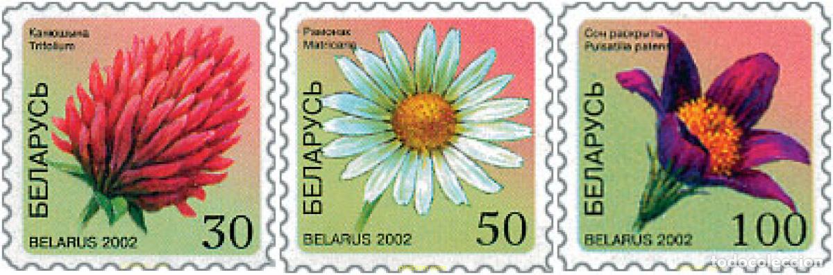 Sellos: 115461 MNH BIELORRUSIA 2002 FLORA