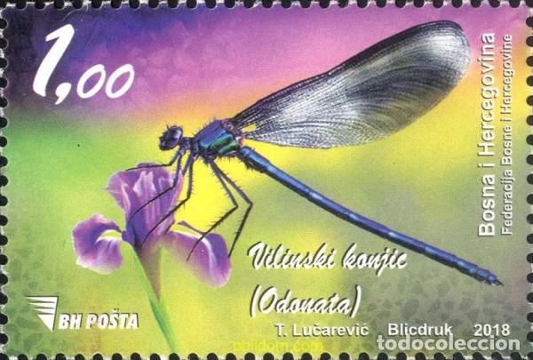 Sellos: 736036 MNH BOSNIA-HERZEGOVINA 2018 LIBEDULA