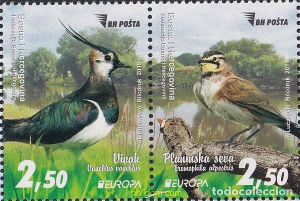 Francobolli: 791418 MNH BOSNIA-HERZEGOVINA 2019 EUROPA CEPT 2019 - NATIONAL BIRD