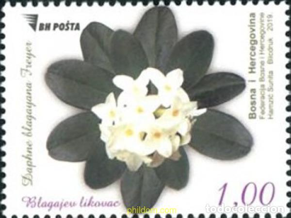 Sellos: 736045 MNH BOSNIA-HERZEGOVINA 2019